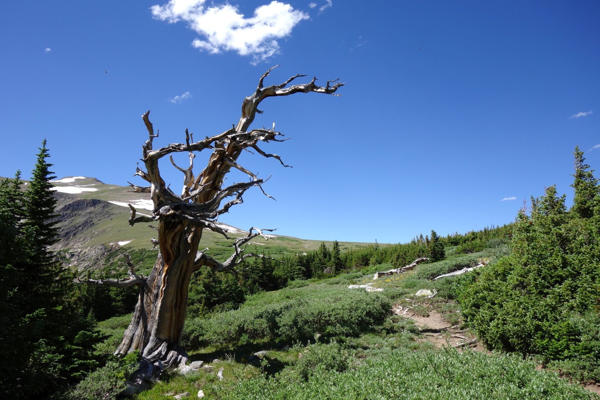 Petr Kosek, cestování, Amerika