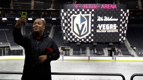 Zlatý rytíř z Las Vegas jako velký válečník. Ale víte, podle čeho se jmenují ostatní kluby NHL?