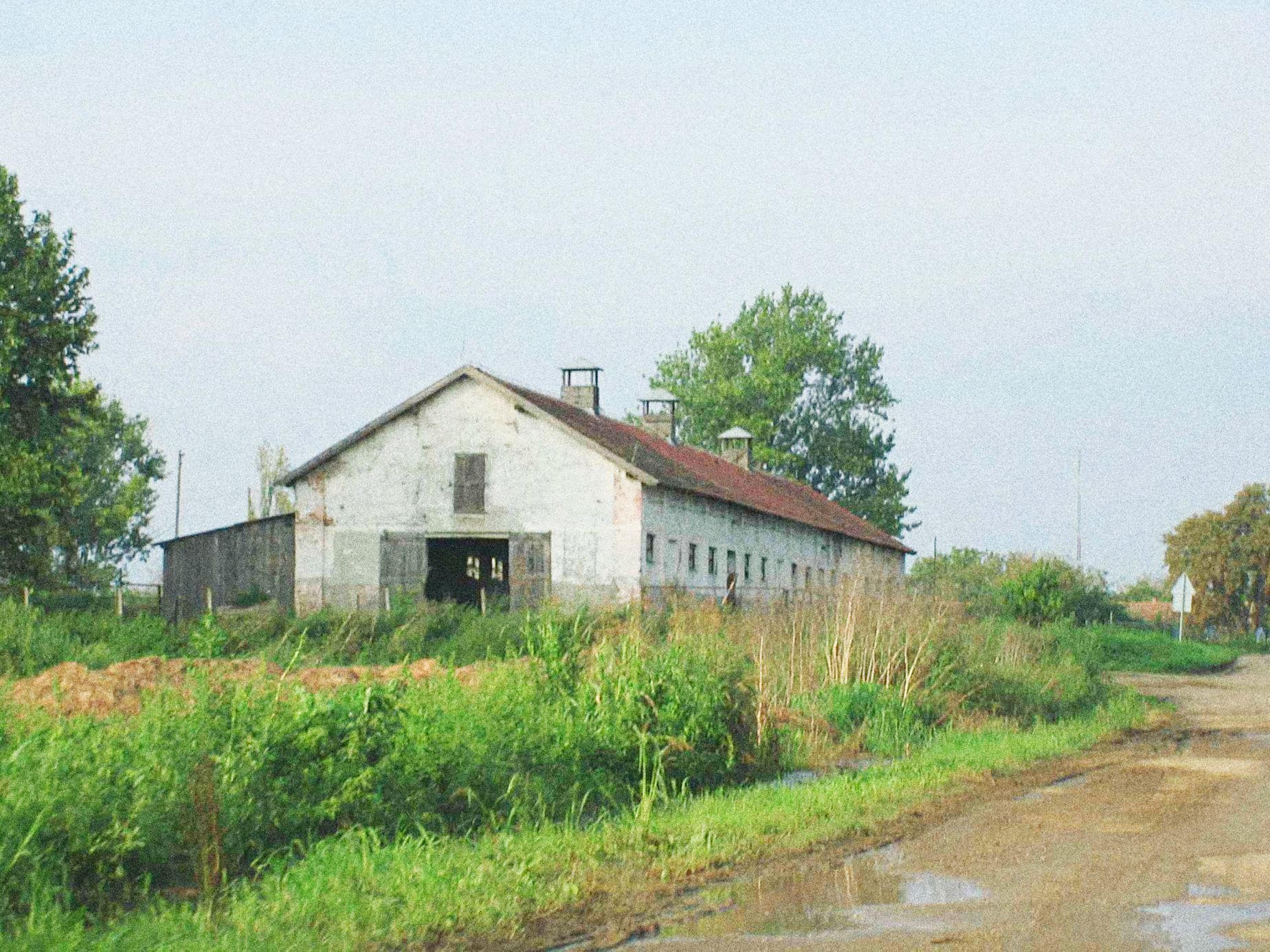 Jednorázové užití / Fotogalerie / Uplynulo 30 let od bitvy o Vukovar, kterému se přezdívalo jugoslávský "Stalingrad" / Vukovar / Válka v Jugoslávii / Chorvatsko