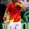 David Ferrer ve finále Davis Cupu