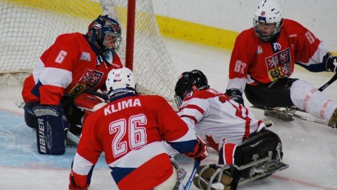 Čeští sledge hokejisté.