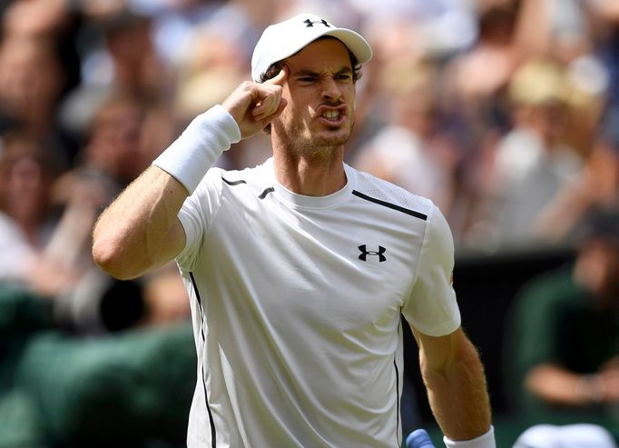 Andy Murray ve finále Wimbledonu 2016.