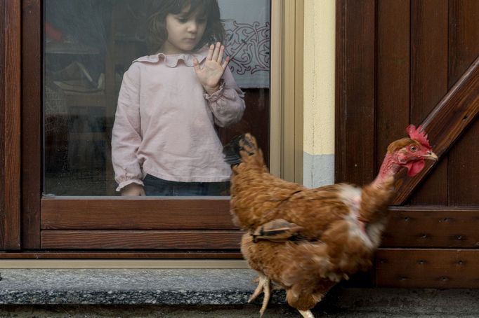 Dítě v karanténě sleduje přes okno slepici. Život v Itálii během probíhající pandemie koronaviru Covid-19. Březen, 2020.