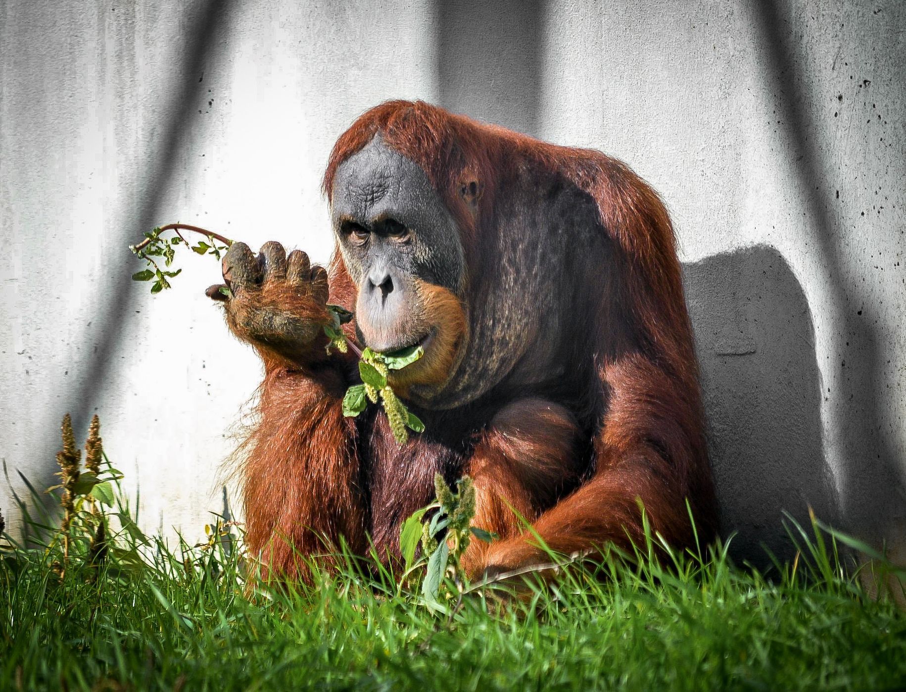 Zoo Praha, nová sezona 2015
