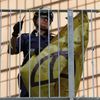 Střety demonstrantů s policisty v Hongkongu - 1. prosince