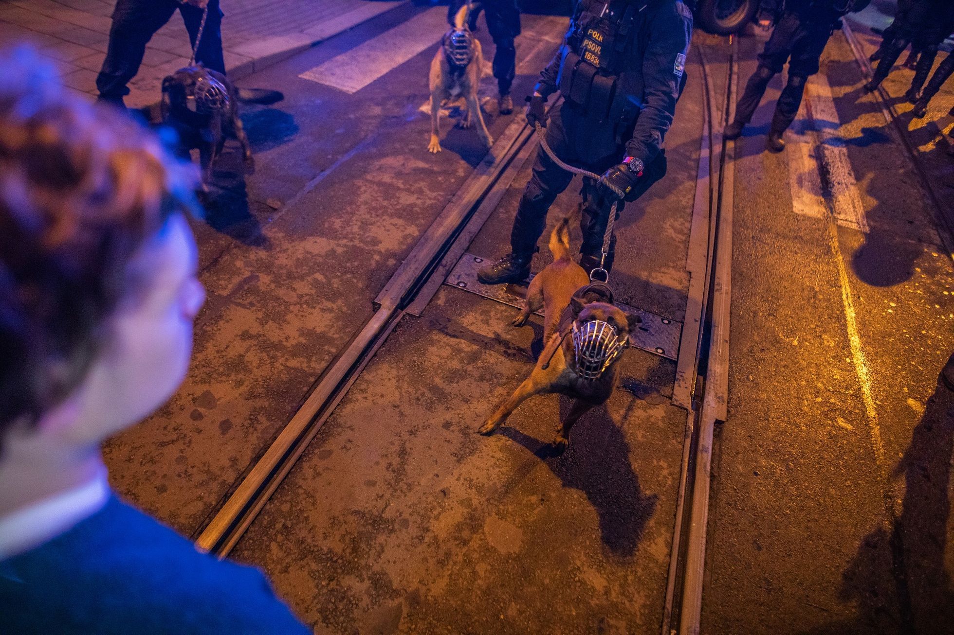 Těžkooděnci policie Brno průvod radikálové
