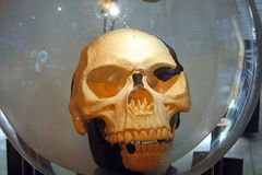 Omyly vědy: Odhalení zfalšované kostry trvalo 40 let