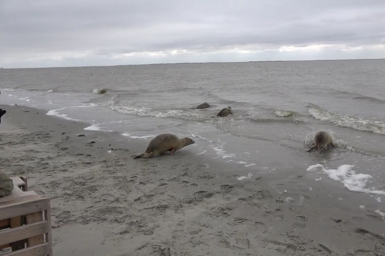 Vítězové fotografické soutěže Czech Photo Junior 2021