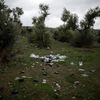 Fotogalerie Život migrantů na řeckém ostrově Lesbos / 2017 / Reuters / 5