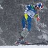 Alpské lyžování: Lindsey Vonnová