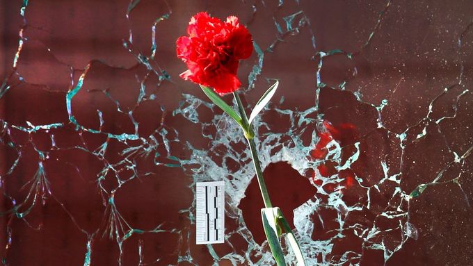Foto: Růže v místech, kde létaly kulky. Na oběti teroru myslí ve všech koutech světa