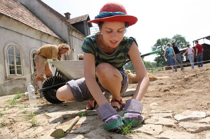 Zahradníci sází plevel mezi dlažbu cesty. Na statku už je také stádo krav, které budou dělat ve filmu kompars.