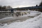 Berounku zablokoval led, hrozí záplavy