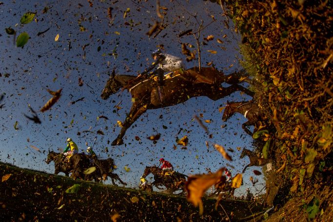 Velká pardubická 2018, žokej Andrew Glassonbury s koněm Nikasem, Velký Taxis