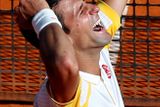 Jediným mužem, který může Nadalovi konkurovat, je podle většiny odborníků Novak Djokovič. Srbská světová jednička se letos se Španělem na antuce potkala ve finále turnaje v Monte Carlu. A rodák z Bělehradu ukázal, že to jde, když zvítězil 6:2 a 7:6.