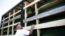 A Bosnian man looks for the name of his relatives in one of the three trucks carrying 520 coffins of newly identified victims of the 1995 Srebrenica massacre at Visoko morgue July 9, 2012. The bodies of the recently identified victims will be transported to the memorial centre in Potocari where they will be buried on July 11 marking the 17th anniversary of the massacre in which Bosnian Serb forces commanded by Ratko Mladic killed up to 8,000 Muslim men and boys and buried them in mass graves.REUTERS/Dado Ruvic (BOSNIA AND HERZEGOVINA - Tags: CIVIL UNREST ANNIVERSARY POLITICS OBITUARY) Published: Čec. 9, 2012, 11:16 dop.