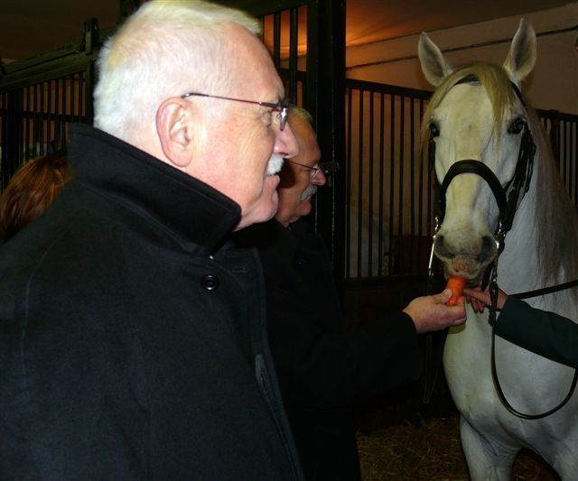 Klaus v Topolčiankach 13