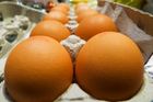 Německá vejce obsahovala dioxin, prodávala se u hranic