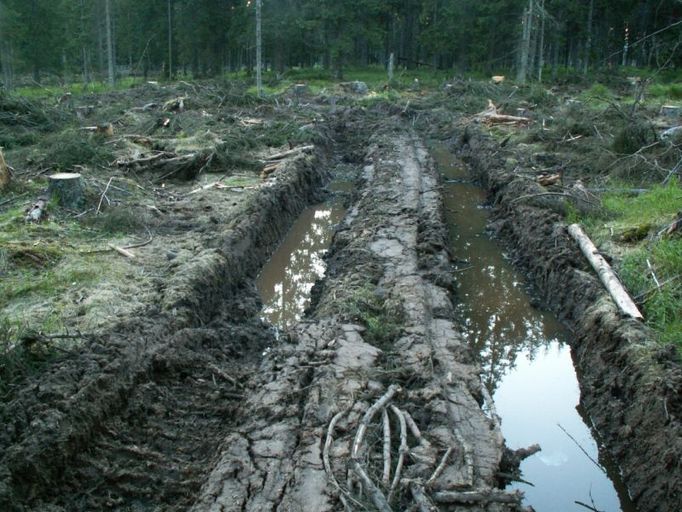 Koleje v Modravě v Národním parku Šumava