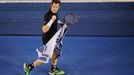 Andy Murray ve finále Australian Open 2015