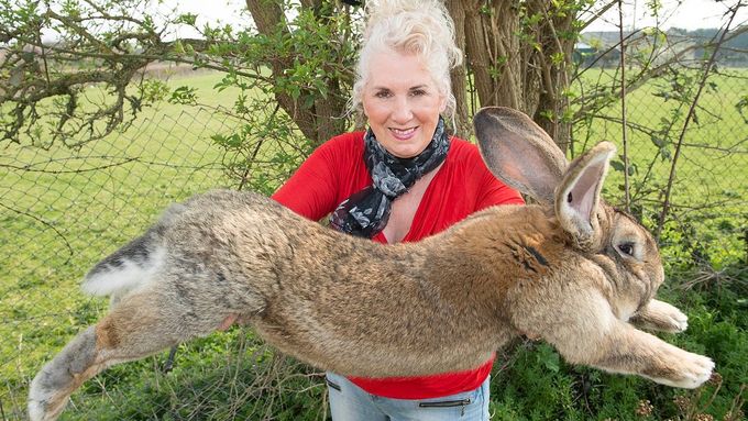 Pyšná majitelka se svým obřím králíkem.