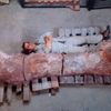 V Argentině našli největší kostru dinosaura