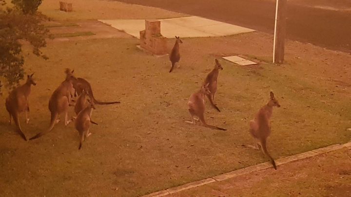 Australští hasiči bojují s požáry i na Boží hod vánoční