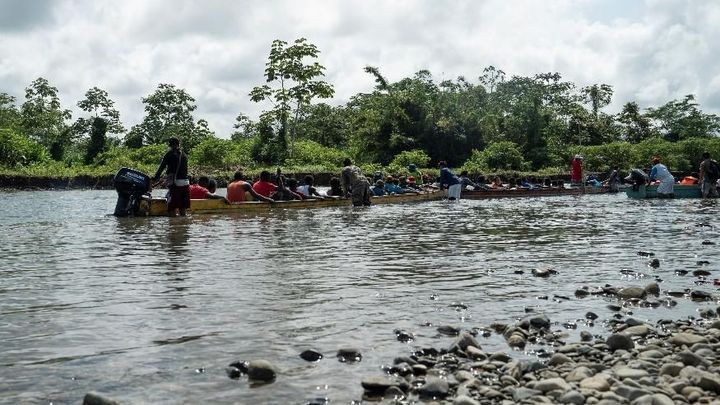 Šplháte, bojíte se hadů a nesmíte se podívat dolů. Tak se jde pralesem k Hoře smrti; Zdroj foto: Sara de la Rubia, MSF