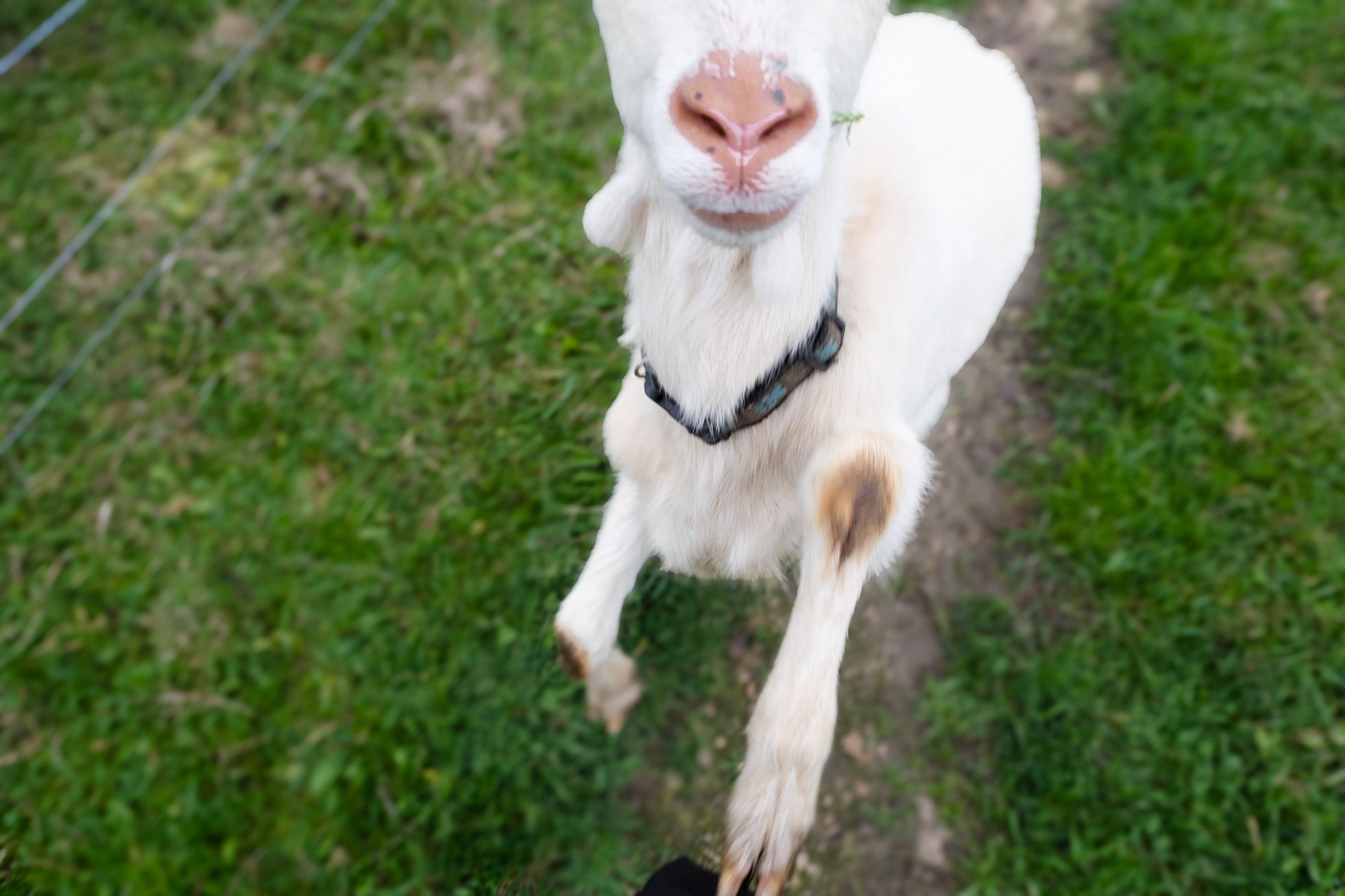 Hornický penzion Brdy