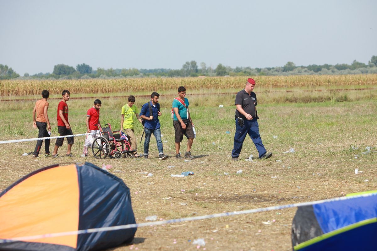 szeged a okolí - migranti