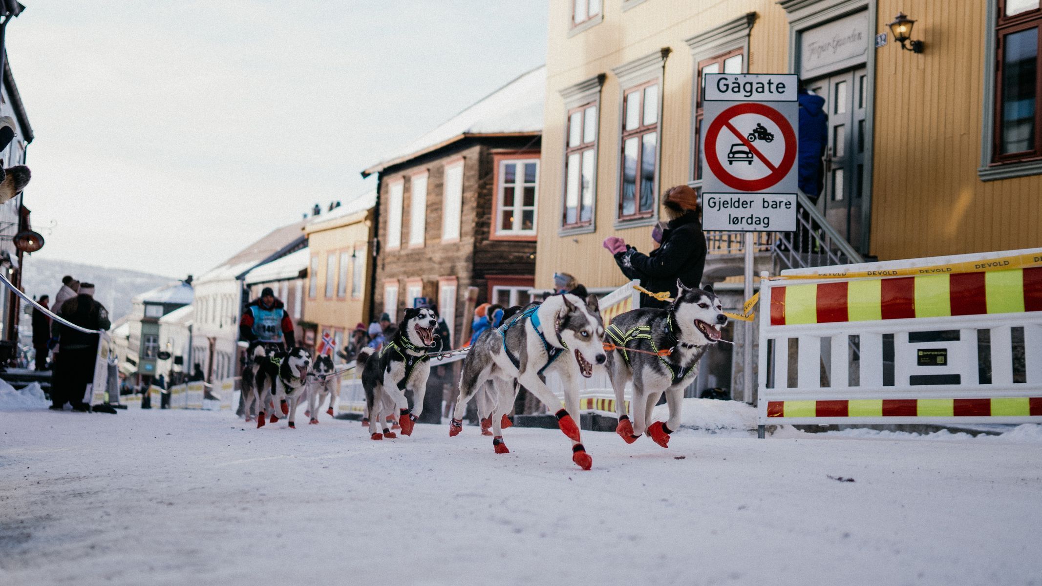 femundlopet psí spřežení mushing norsko
