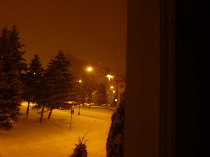 Sníh v Plzni