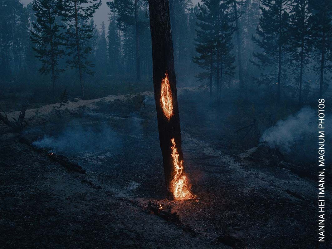 World Press Photo 2022 - regionální vítězové