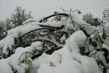 Sněhová nadílka v hrabství Pražmo