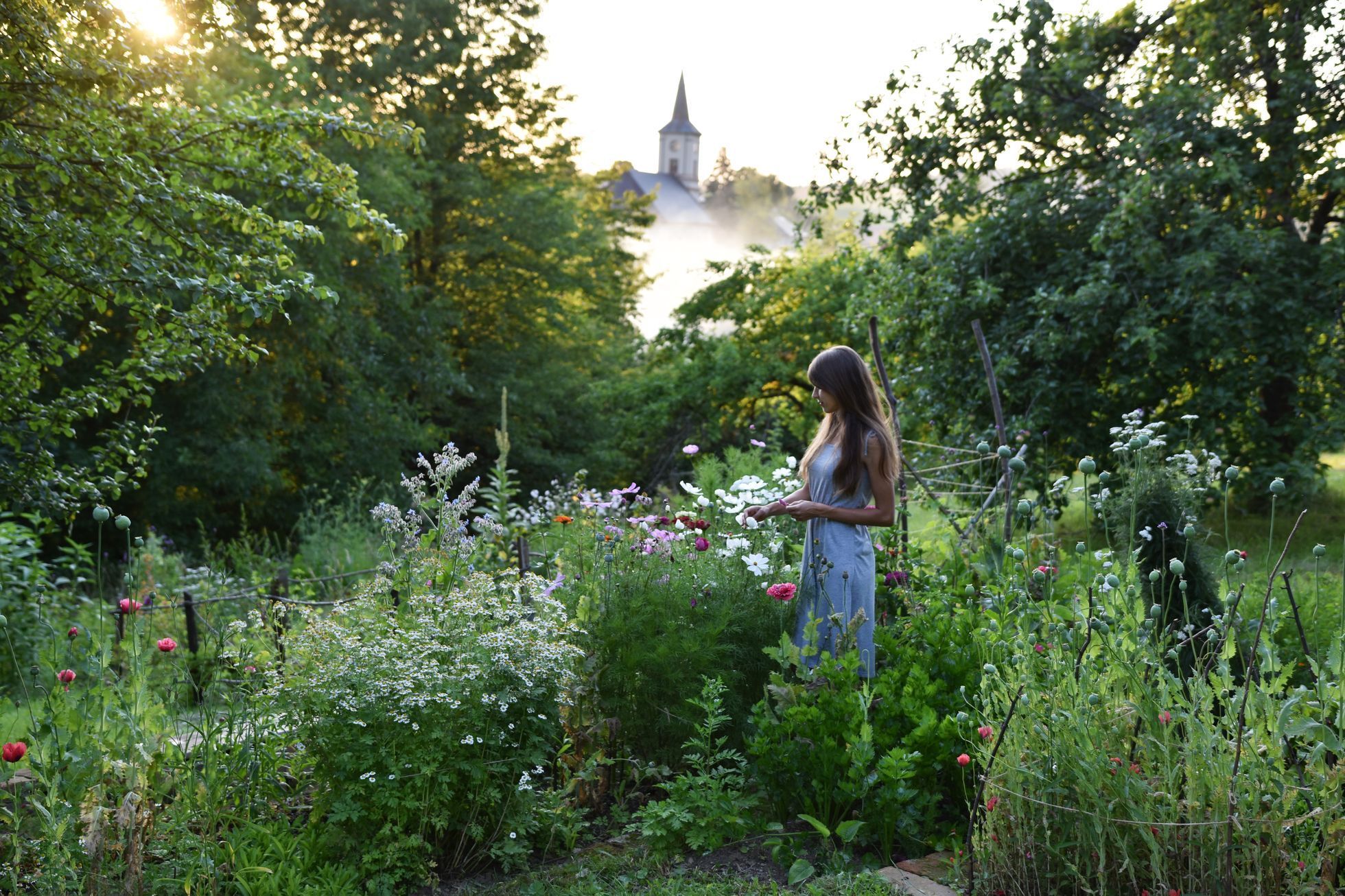 domeček na kopci, dům, rekonstrukce, zahrada, příběh