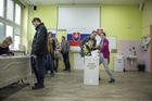 Slovensko volby 5
