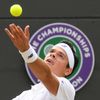Wimbledon 2017: Milos Raonic