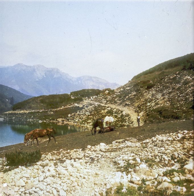 Koně u Zeleného plesa, Vysoké Tatry, 1910. Kolorovaný archivní snímek z tatranského pohoří na Slovensku.