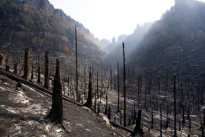 Pravčický důl v úterý 2. srpna 2022