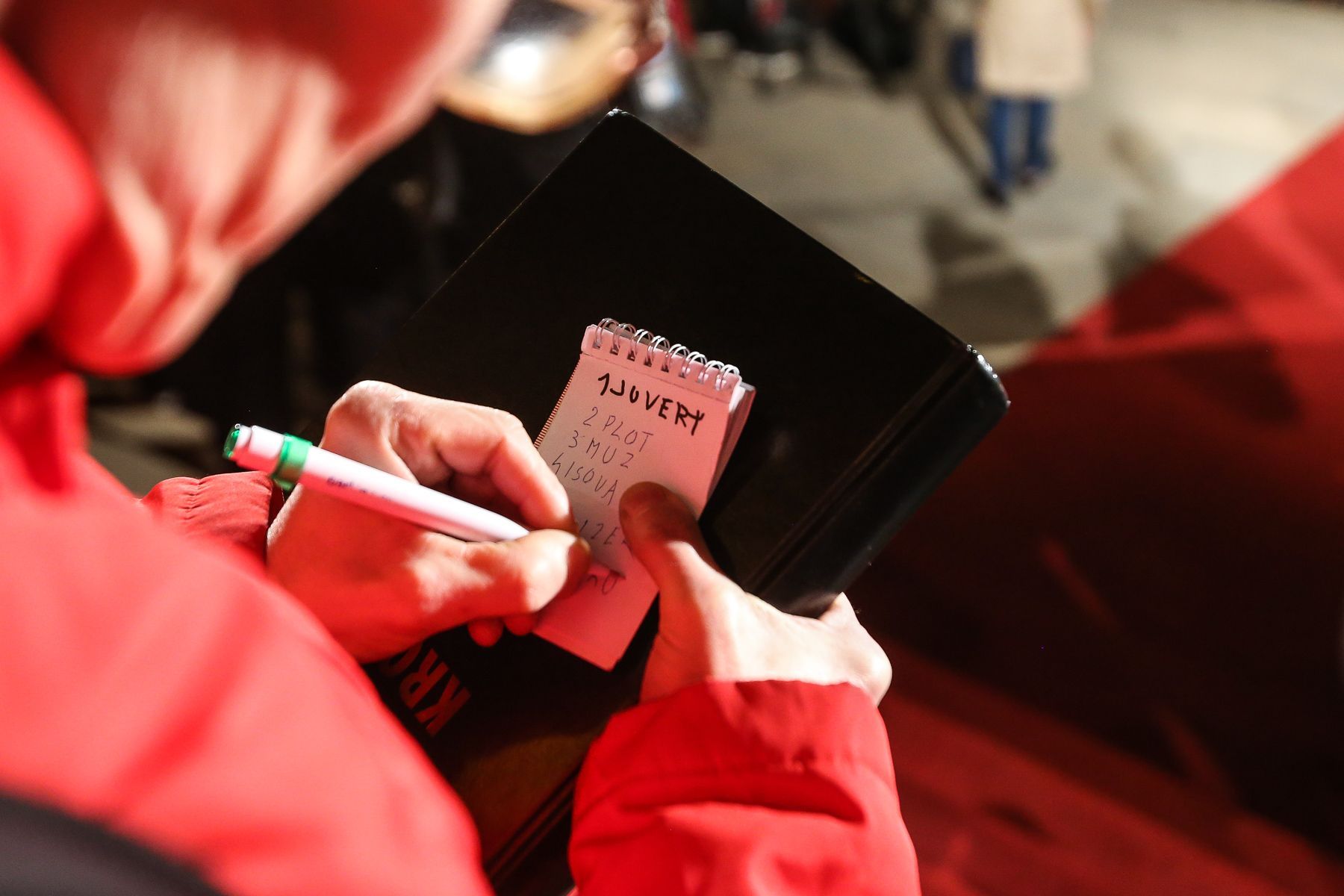 Český lev 2017 - finální editované foto