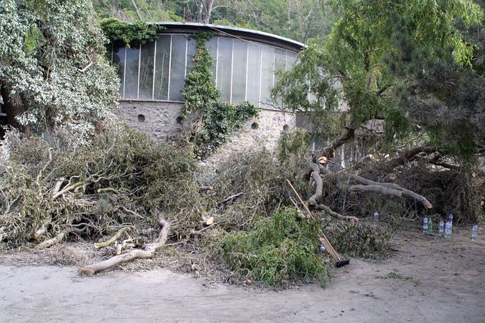 Povodeň za sebou v ZOO Praha zanechala velikou spoušť.