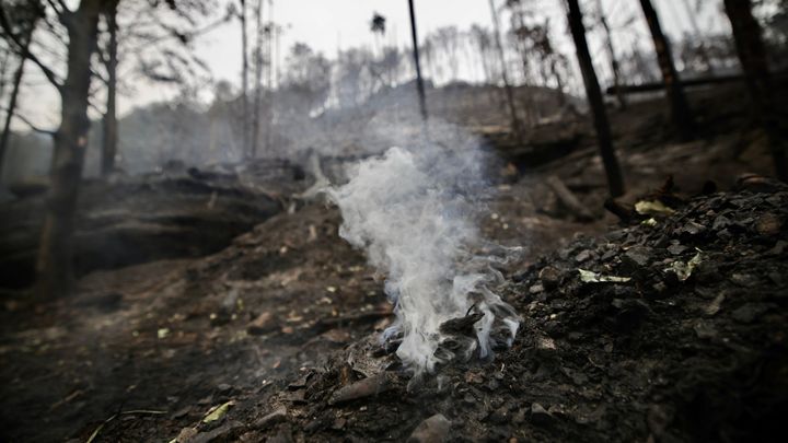 Drony objevily v neděli ráno v Českém Švýcarsku sedm míst se zvýšenou teplotou; Zdroj foto: Lukáš Bíba