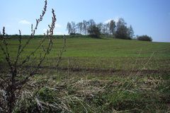 ČEZ rozdělil na ekologické projekty 5,6 milionu korun
