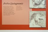 Snímek z výstavy Goya fyziognomik.