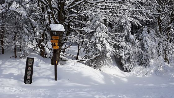 Foto: Jaro se ohlásilo chumelenicí a mrazy. Tak vypadal první jarní den na horách