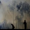 Obrazem: Portugalsko se vzpamatovává z rozsáhlých lesních požárů