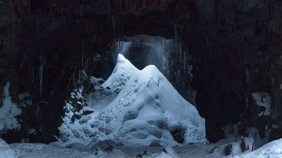 Život dobrovolníka na Islandu