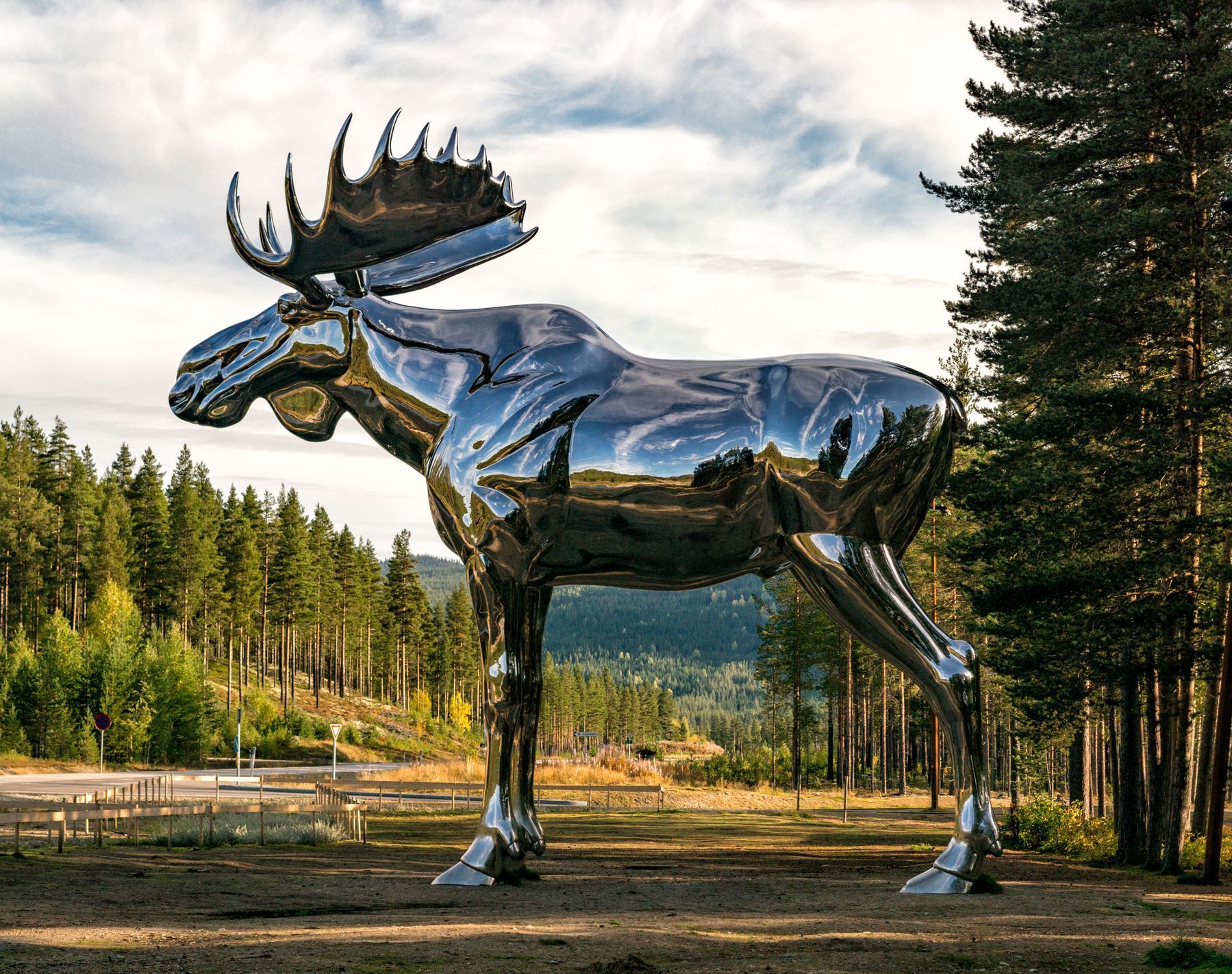 V roce 2015 se stal největší sochou losa na světě nerezový Storelgen, který se nachází v Norsku.