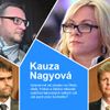 Anketa - kauza Jany Nagyové - rok od zásahu na Úřadu vlády
