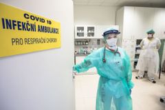 "Velmi mírný optimismus". Česko brzdí epidemii, na oslavu je brzy. Lékařům se neuleví